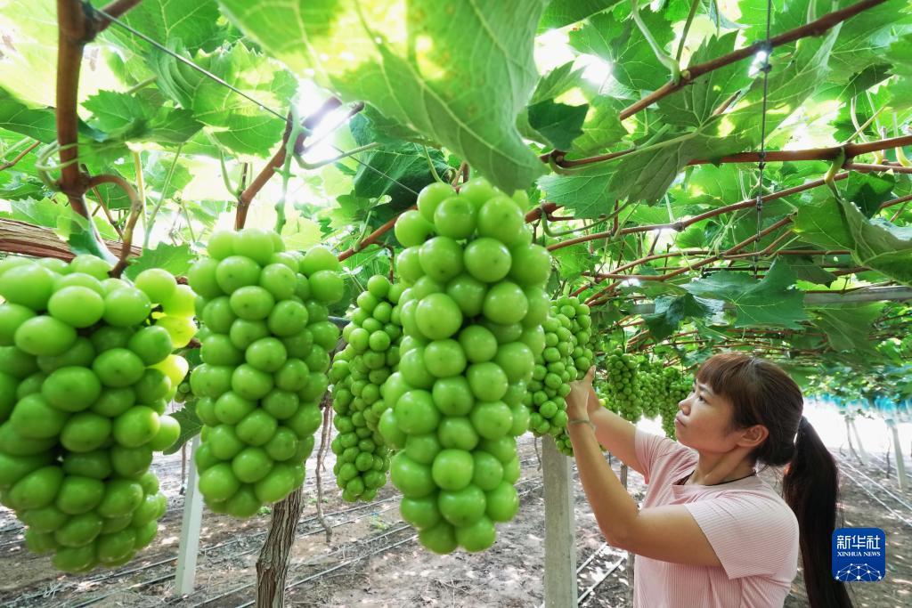 1号庄娱乐平台